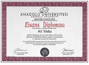 Anadolu Universität - Business Administration
